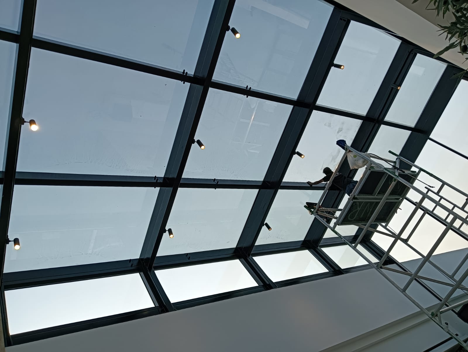 Solar film installation UAE office