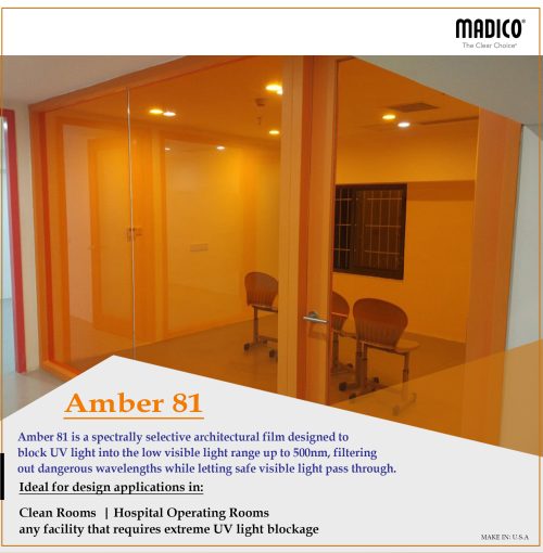 AMBER-81