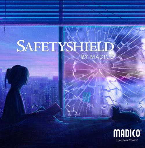 SAFETY-SHIELD-scaled